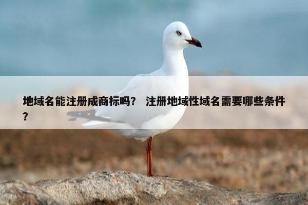 地域名能注册成商标吗？ 注册地域性域名需要哪些条件？