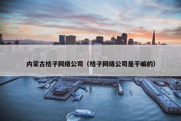 内蒙古桔子网络公司（桔子网络公司是干嘛的）