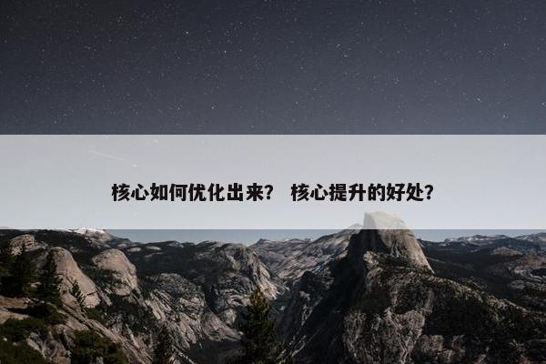 核心如何优化出来？ 核心提升的好处？
