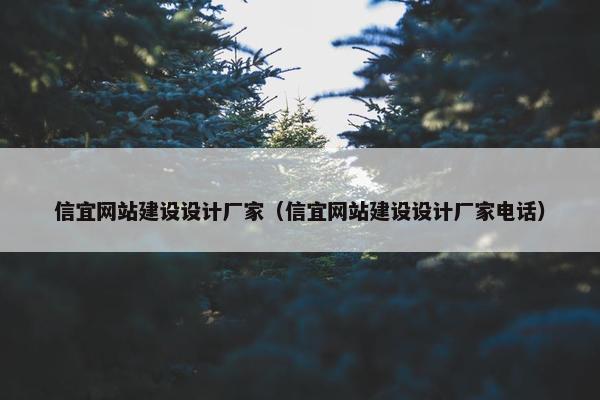 信宜网站建设设计厂家（信宜网站建设设计厂家电话）