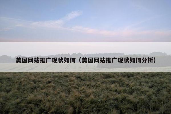 美国网站推广现状如何（美国网站推广现状如何分析）