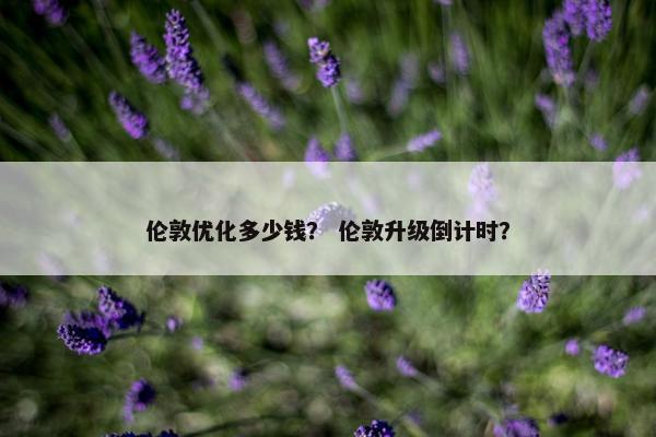 伦敦优化多少钱？ 伦敦升级倒计时？