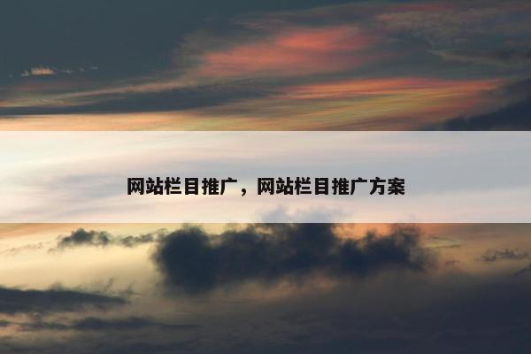 网站栏目推广，网站栏目推广方案