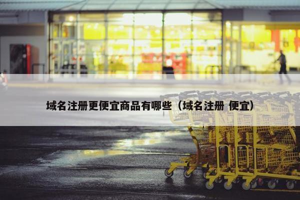 域名注册更便宜商品有哪些（域名注册 便宜）