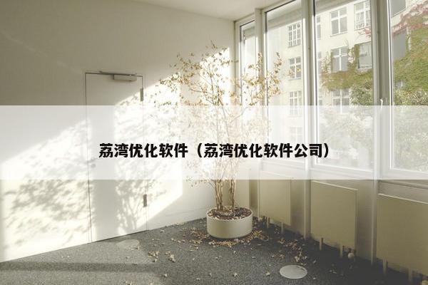 荔湾优化软件（荔湾优化软件公司）