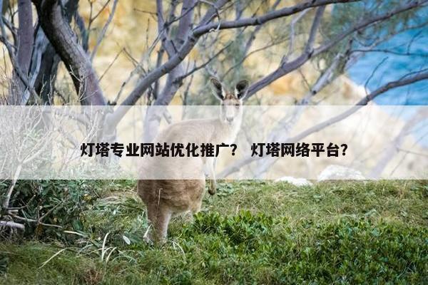 灯塔专业网站优化推广？ 灯塔网络平台？