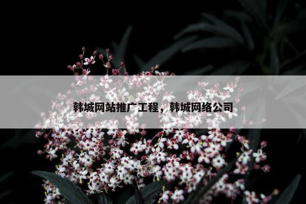 韩城网站推广工程，韩城网络公司