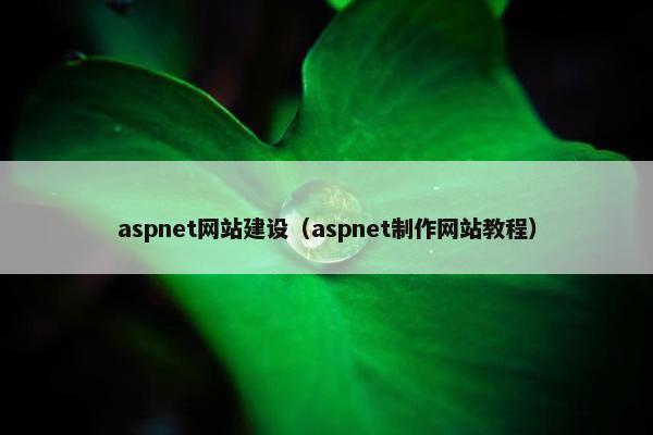 aspnet网站建设（aspnet制作网站教程）