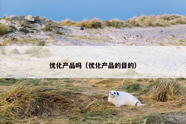 优化产品吗（优化产品的目的）