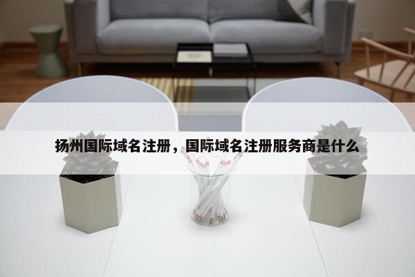 扬州国际域名注册，国际域名注册服务商是什么