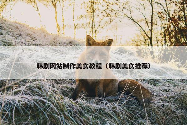 韩剧网站制作美食教程（韩剧美食推荐）