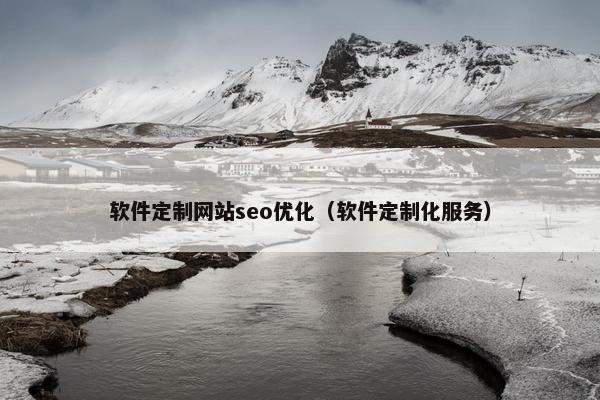 软件定制网站seo优化（软件定制化服务）