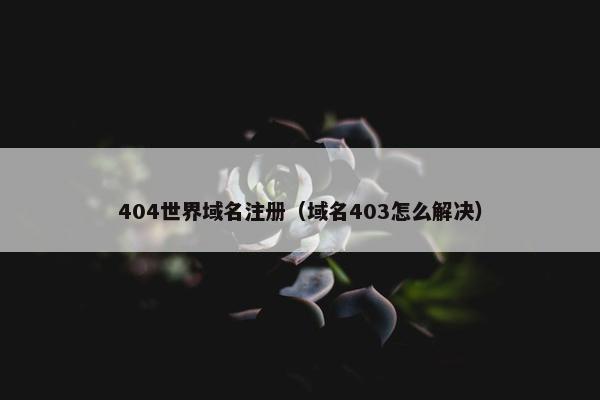 404世界域名注册（域名403怎么解决）