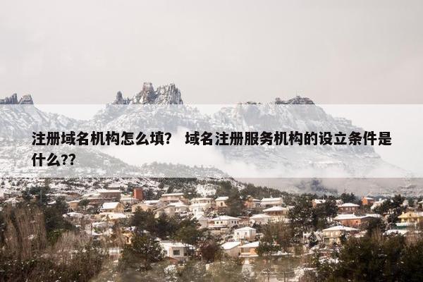 注册域名机构怎么填？ 域名注册服务机构的设立条件是什么?？