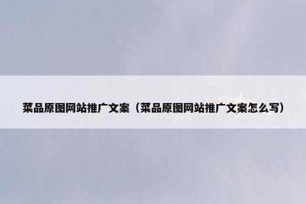 菜品原图网站推广文案（菜品原图网站推广文案怎么写）