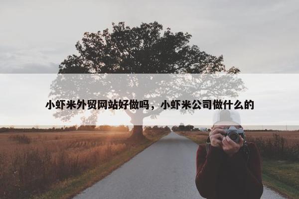 小虾米外贸网站好做吗，小虾米公司做什么的