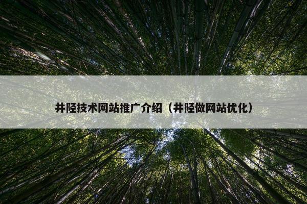 井陉技术网站推广介绍（井陉做网站优化）