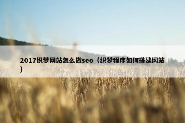 2017织梦网站怎么做seo（织梦程序如何搭建网站）