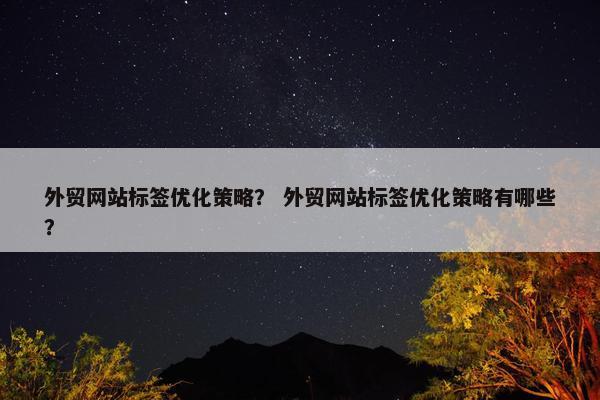 外贸网站标签优化策略？ 外贸网站标签优化策略有哪些？