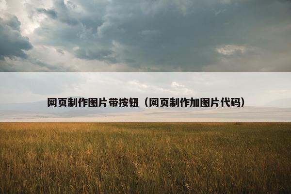 网页制作图片带按钮（网页制作加图片代码）