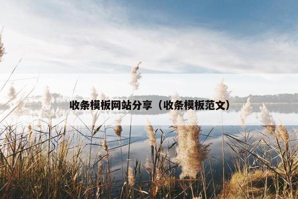 收条模板网站分享（收条模板范文）