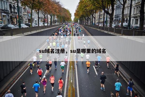 su域名注册，su是哪里的域名