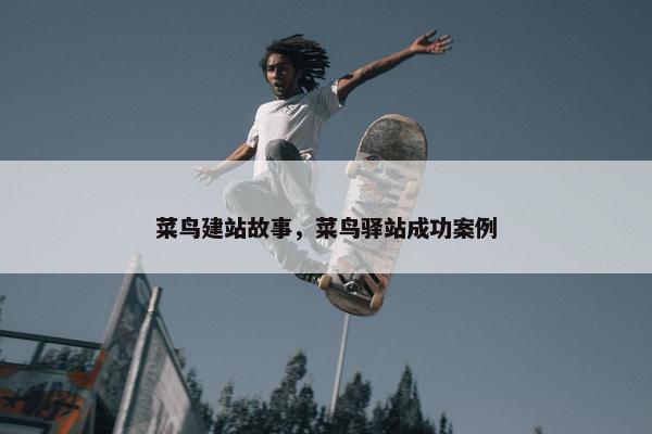 菜鸟建站故事，菜鸟驿站成功案例