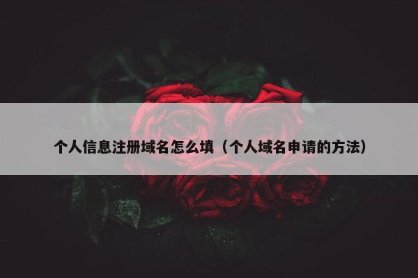 个人信息注册域名怎么填（个人域名申请的方法）