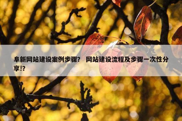 阜新网站建设案例步骤？ 网站建设流程及步骤一次性分享!？