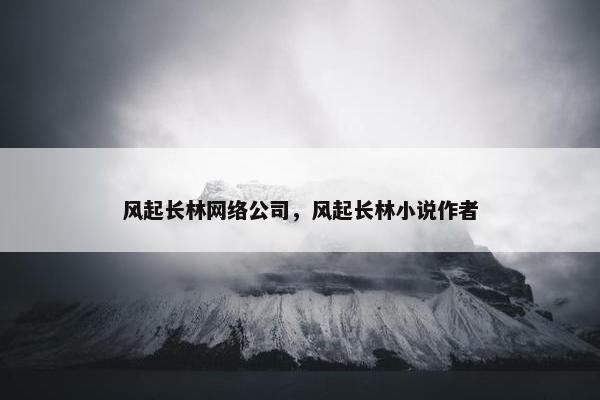 风起长林网络公司，风起长林小说作者