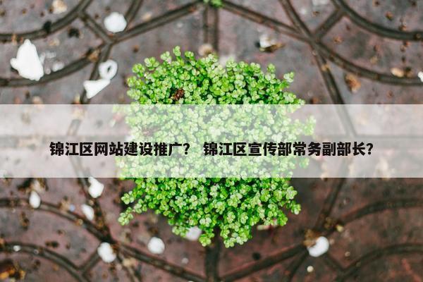 锦江区网站建设推广？ 锦江区宣传部常务副部长？