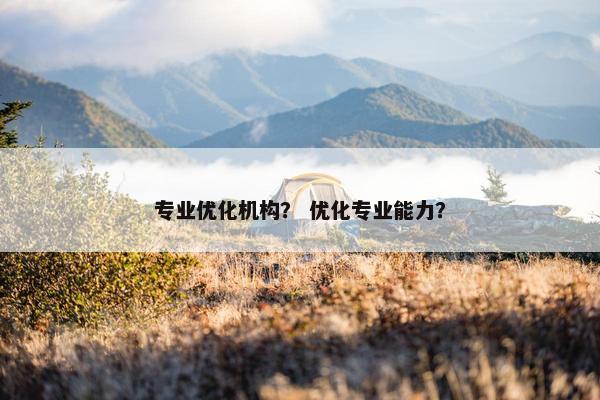 专业优化机构？ 优化专业能力？