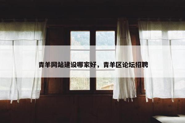 青羊网站建设哪家好，青羊区论坛招聘