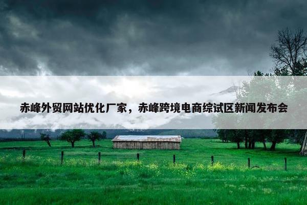 赤峰外贸网站优化厂家，赤峰跨境电商综试区新闻发布会