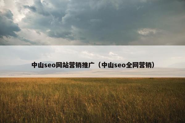中山seo网站营销推广（中山seo全网营销）