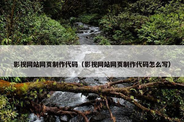 影视网站网页制作代码（影视网站网页制作代码怎么写）