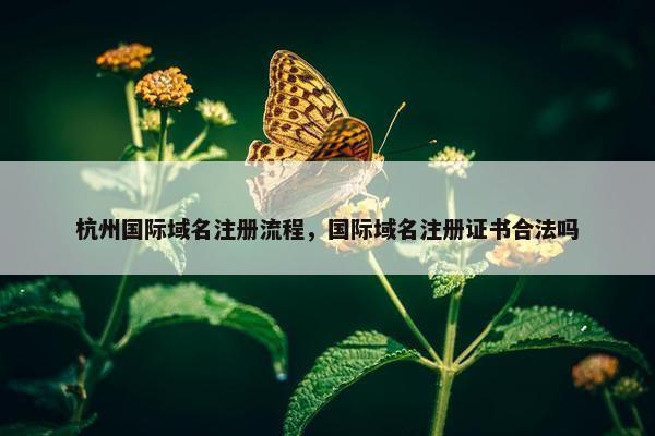 杭州国际域名注册流程，国际域名注册证书合法吗