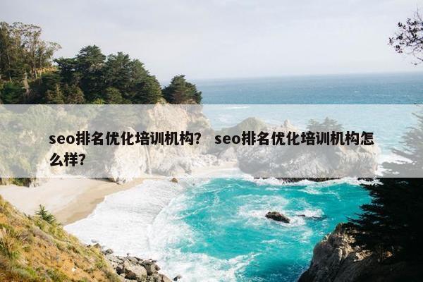seo排名优化培训机构？ seo排名优化培训机构怎么样？