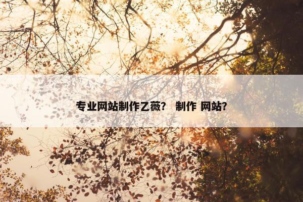 专业网站制作乙薇？ 制作 网站？