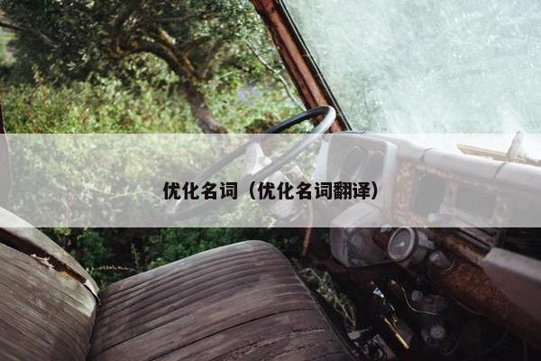 优化名词（优化名词翻译）