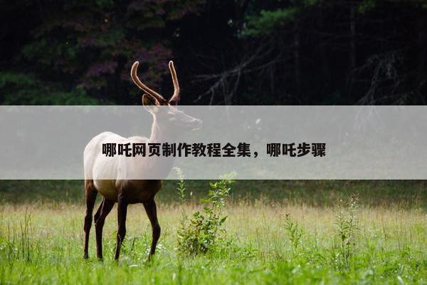 哪吒网页制作教程全集，哪吒步骤