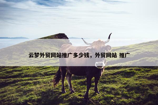 云梦外贸网站推广多少钱，外贸网站 推广