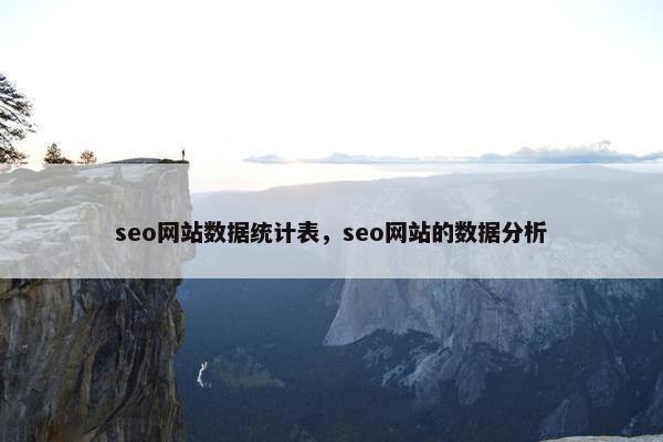 seo网站数据统计表，seo网站的数据分析