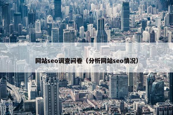 网站seo调查问卷（分析网站seo情况）
