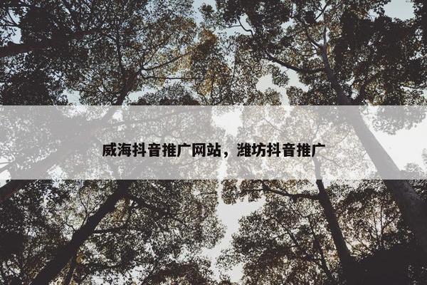 威海抖音推广网站，潍坊抖音推广