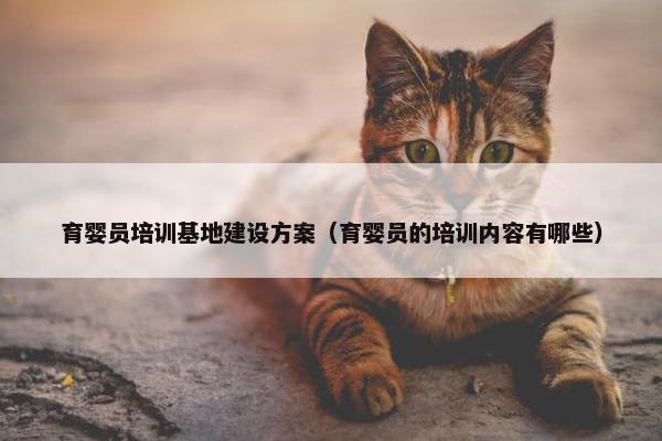 育婴员培训基地建设方案（育婴员的培训内容有哪些）