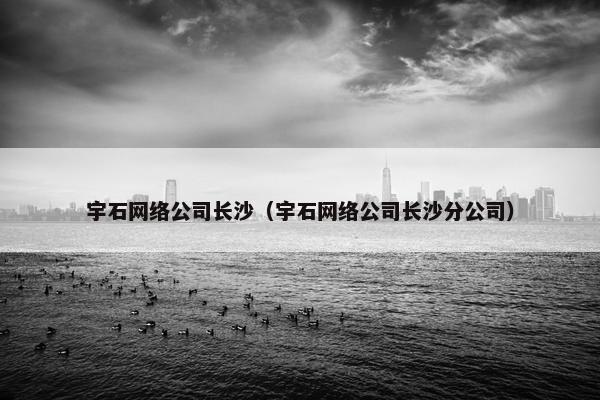 宇石网络公司长沙（宇石网络公司长沙分公司）