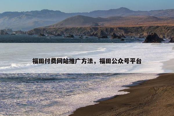 福田付费网站推广方法，福田公众号平台