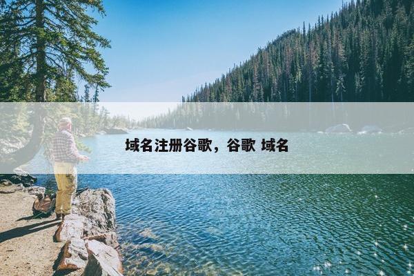 域名注册谷歌，谷歌 域名