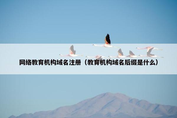 网络教育机构域名注册（教育机构域名后缀是什么）